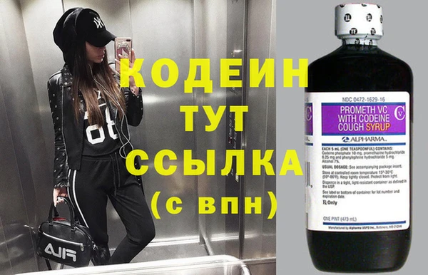 гашик Нягань