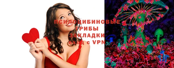 дмт Алзамай