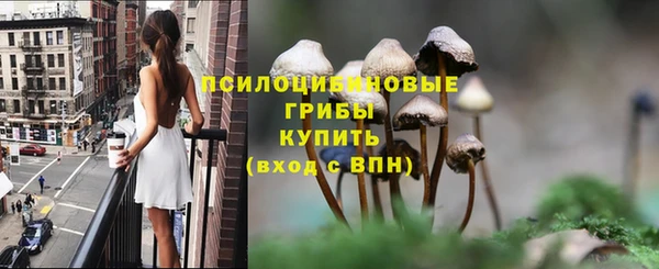 MESCALINE Няндома