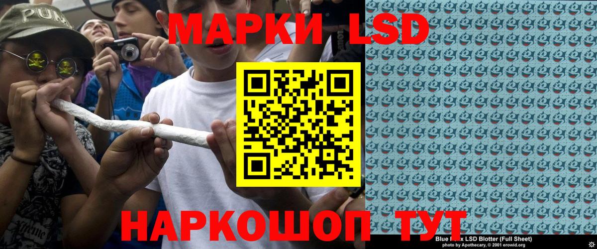 A-PVP Находка