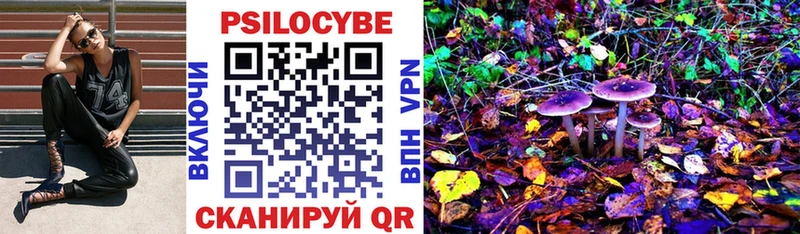Галлюциногенные грибы Psilocybine cubensis  кракен ONION  Находка  что такое  